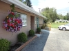 hanging-baskets_0